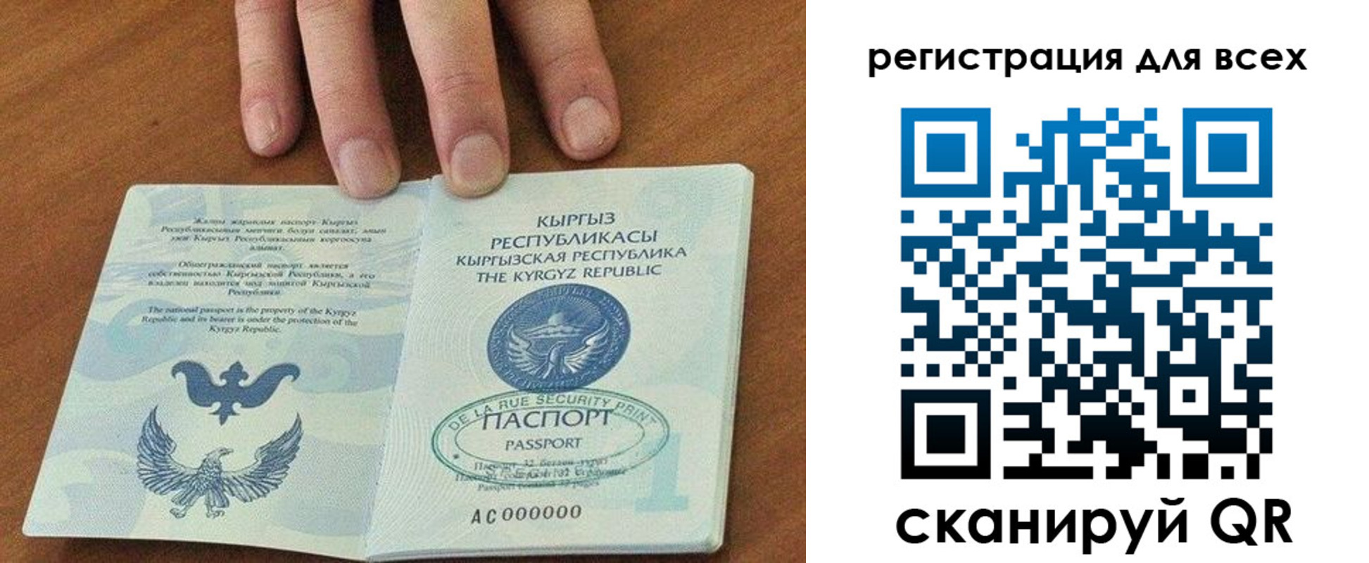 прописка для школы в Сальске